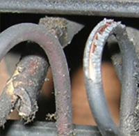 鼠の配線かじり跡