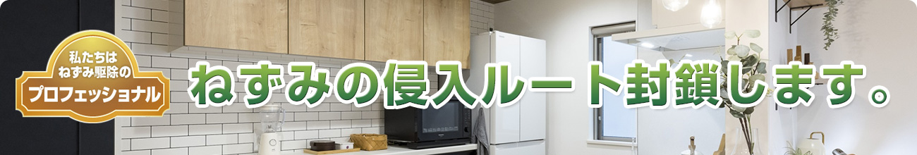 ねずみの侵入ルート封鎖します。