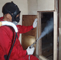 天井内のねずみ追い出し